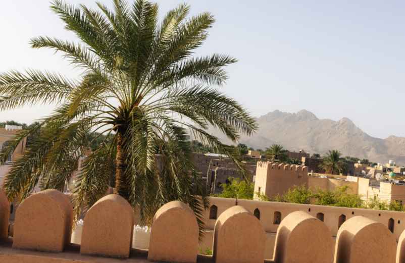 Les Jardins suspendus de Babylone : ce mythe de l'oasis mésopotamienne-City Cake